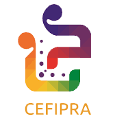 Indo French Centre for the Promotion of Advanced Research (IFCPAR)